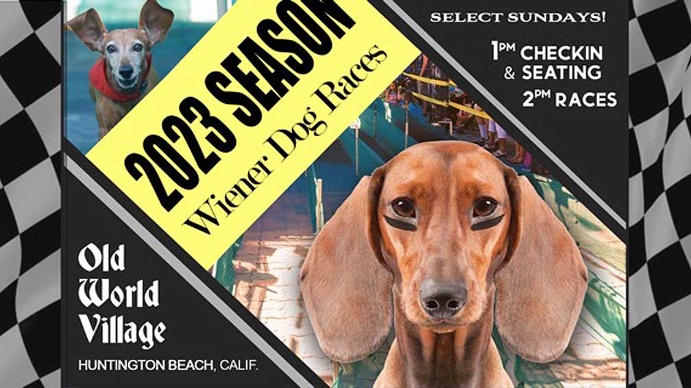 2023 Wiener Dog Races at Old World Village Huntington Beach