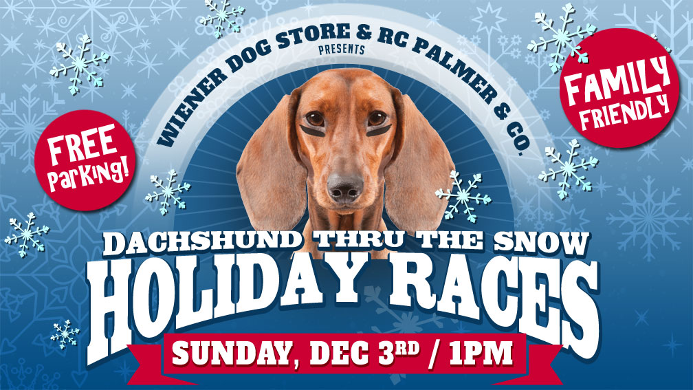 Wiener Dog Races at Biergarten Old World Huntington Beach, CA