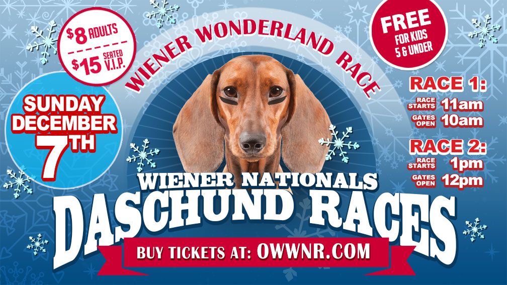 Winter Wiener Dog Race